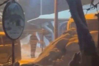 Gece görüntülendiler! Bursalılar dikkat, uyandılar...