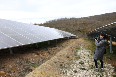 Nilüfer Belediyesi, uluslararası yeşil enerji araştırmasına ev sahipliği yaptı