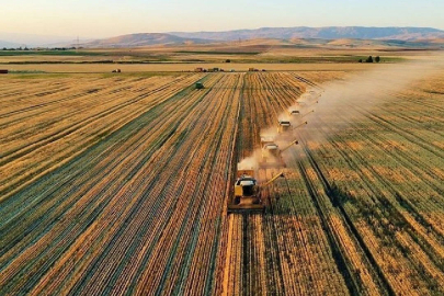 Savaş sofraya nasıl yansıyacak?