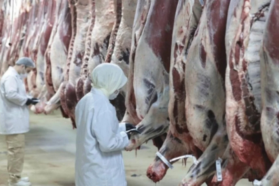 Et fiyatında manipülasyon yapanlara operasyon: 30 gözaltı