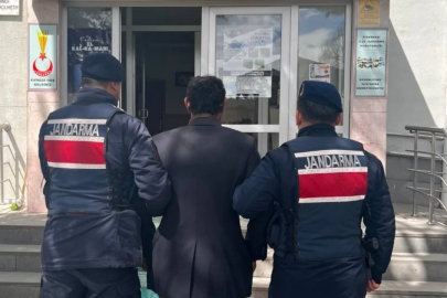 Köpeği zincirle ağaca asarak öldüren şahıs gözaltına alındı