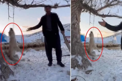 Köpeğini ağaca asıp öldürdü!