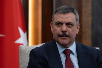 Bakan Çiftçi duyurdu! Toplanan sahipsiz sokak hayvanlarının oranı belli oldu...