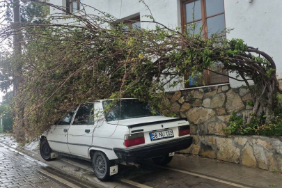 Bodrum'da tam fırtına günlük yaşamı olumsuz etkiledi