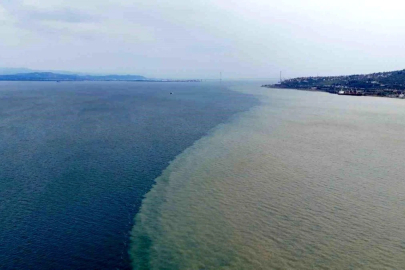 İzmit Körfezi iki renk oldu: Derenin taşıdığı çamur denizin rengini değiştirdi