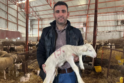 Bursa'da 91 yıl önce geliştirildi, ünü tüm Türkiye'ye yayıldı!