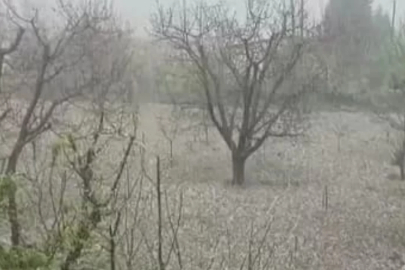 Bursa'da dolu yağışı tarıma zarar verdi mi?