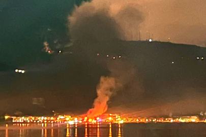 Bursa'nın sahilinde korkunç anlar! Alevler sardı...