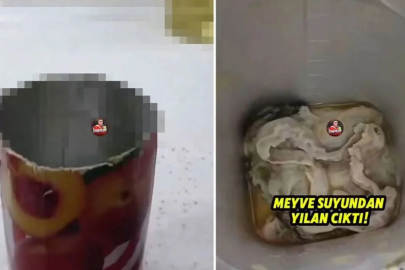 Meyve suyundan yılan mı çıktı, yılan çıkan meye suyu hangi marka, video gerçek mi, yapay zeka mı?