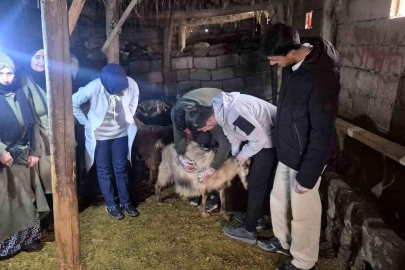 Özalp'te çiftçilere yönelik eğitim seferberliği başlatıldı