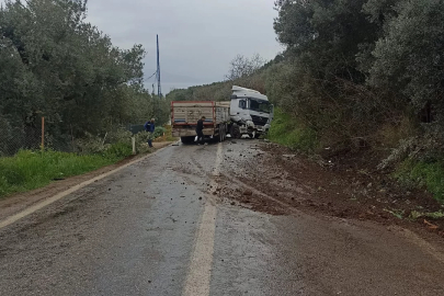 Bursa'da korkutan kaza! Makasladı...