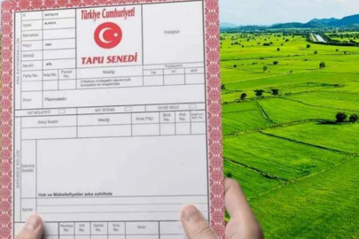 Köyünde, bahçesinde bundan olanlara kötü haber! Tek tek yıkılacak