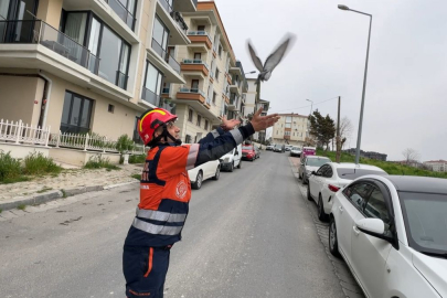 Avcılar'da havalandırma boşluğuna düşen güvercin ve martıyı itfaiye kurtardı