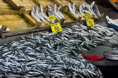 Bursa'da av yasağı öncesi balık fiyatları! Zirve levrekte...
