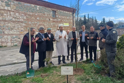 Bursa'nın 700. fetih yılında 700 çınar toprakla buluştu!
