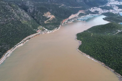 Görüntü Amazonlar'dan değil! Türkiye'de şaşkınlık yaratan manzara