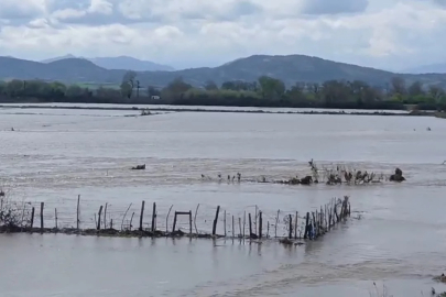 Meriç Nehri taştı, sular yollara ulaştı