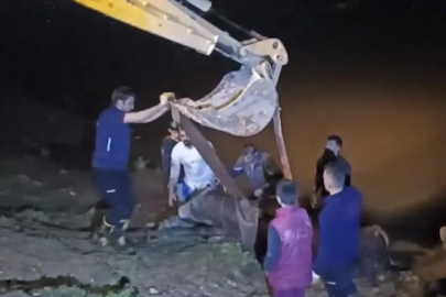 Dicle Nehri'ne düşen ineği itfaiye iş makinesiyle kurtardı