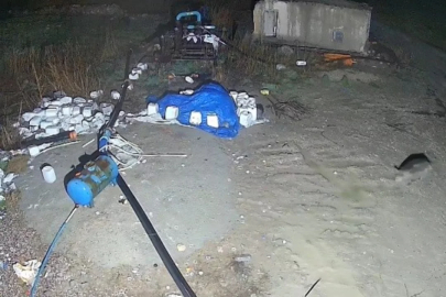 Konya'da domuz sürüsü yerleşim alanına indi