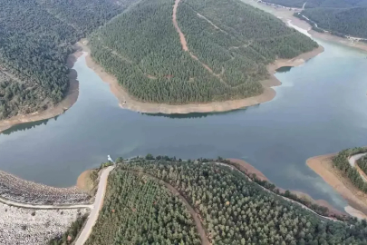 Ormancılıkta yeni dönem: TOY Bursa'da tanıtılacak