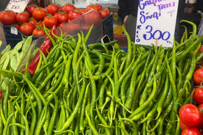 Bursa'da kıl sivri biber zirvede!