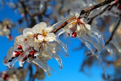 Bursa'nın 6 ilçesine valilikten uyarı!
