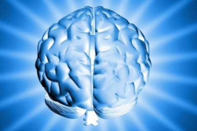 Dünyanın en yüksek IQ'suna sahip ülkeleri