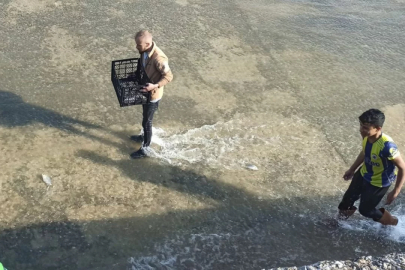 Haberi duyan balık toplamaya koştu