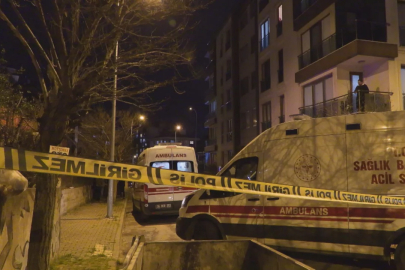 Anne ve ağabeyini öldürdü, silahıyla yakalandı...