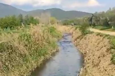 Bursa'nın altında tarih yatan gölü zehirleniyor! 'Şu an kapkara'