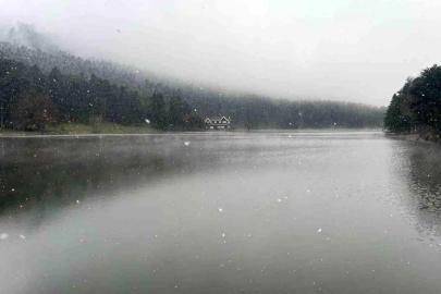 Gölcük'te kar yağışı ve sis etkili oldu