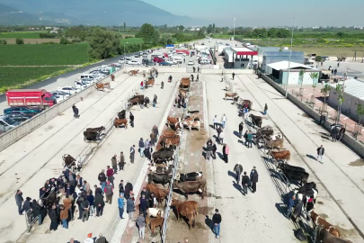 İnegöl Belediyesi Hayvan Pazarının Kurban Bayramı Kotra İhalesi Yapıldı