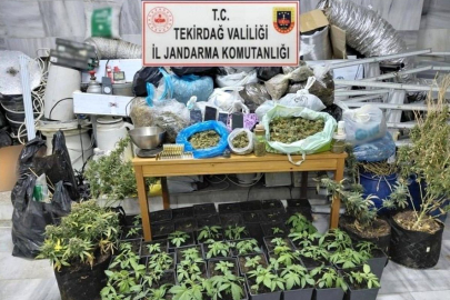 Tekirdağ'da uyuşturucu operasyonu: 1 tutuklama