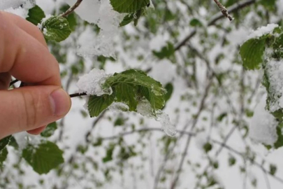 Bursa'nın 4 ilçesine 'sarı' uyarı: Zirai don ve yağışa dikkat...