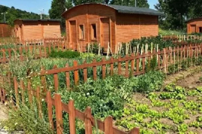 Hobi bahçesi yıkım kararı yasalaştı mı? Hobi bahçeleri yıkılacak mı?