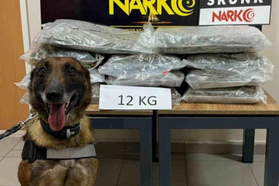 İstanbul'dan Ankara'ya uyuşturucu götürüyordu, Düzce'de yakalandı