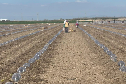 Savaşın faturası Bursa'ya yansıdı!