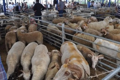 Bursa'nın komşu ilinde kırmızı alarm! İkinci bir duyuruya kadar hepsi kapatıldı...