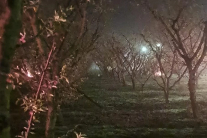 Bursa'da "don" mesaisi! Çiftçiler meyve bahçelerinde ateş yakarak nöbet tutuyor