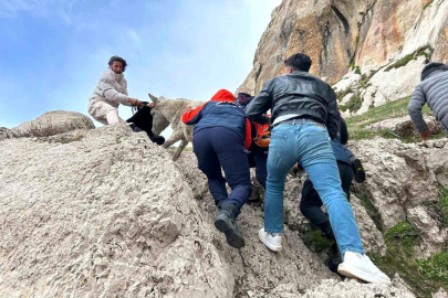 Van'da kayalıklarda mahsur kalan eşek kurtarıldı