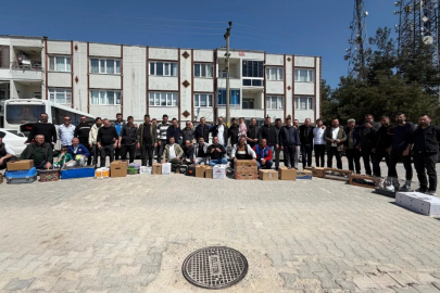 Güvercinin başkentinde gökyüzünde muhteşem şov