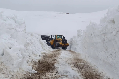 Hakkari'de 46 yerleşim yolu ulaşıma kapandı