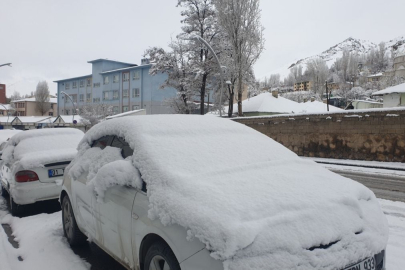 Van Başkale'de kar yağışı