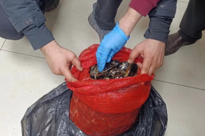 Zehir saçacaklardı! 10 tonluk kaçak sevkiyat çökertildi