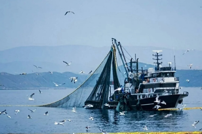 Av sezonu bitiyor: 15 Nisan'da yasak başlıyor