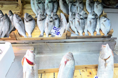 Bursa'da dengeler değişti! Et pahalı olunca herkes oraya koştu