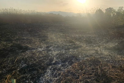 Bursa'da yangın sezonu erken açıldı! İtfaiye ekiplerinden hızlı müdahale...