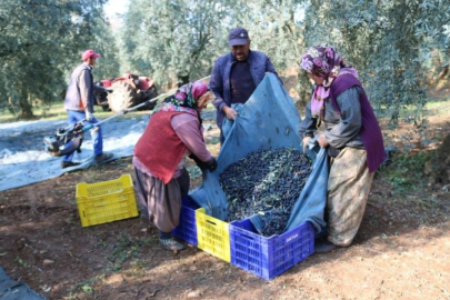 Marmarabirlik'te son taksit ödemeleri yapılıyor!