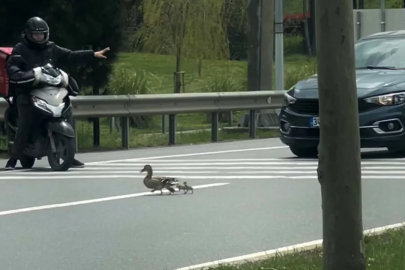 Trafikte yürek ısıtan an: Araçları durdurdu, güvenle geçmelerini sağladı