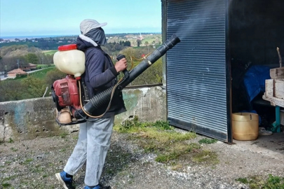 19 Mayıs'ta kahverengi kokarca ile mücadele çalışmaları sürüyor